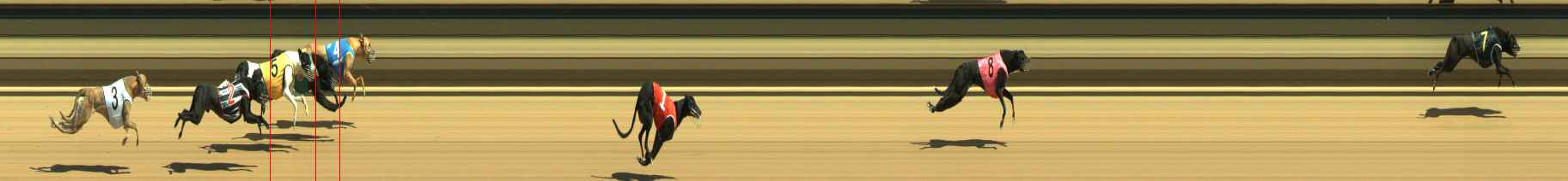 Photo finish for Warragul Race 2