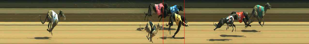 Photo finish for Warragul Race 5