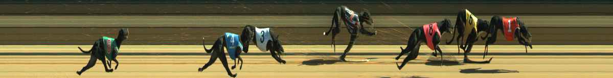 Photo finish for Warragul Race 7