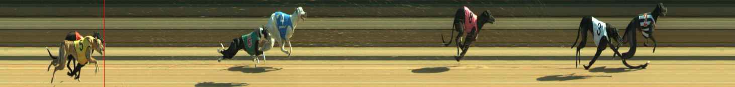 Photo finish for Warragul Race 8