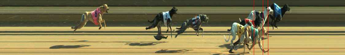 Photo finish for Warragul Race 9