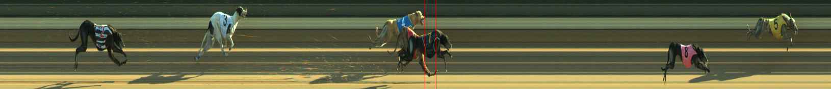Photo finish for Warragul Race 11