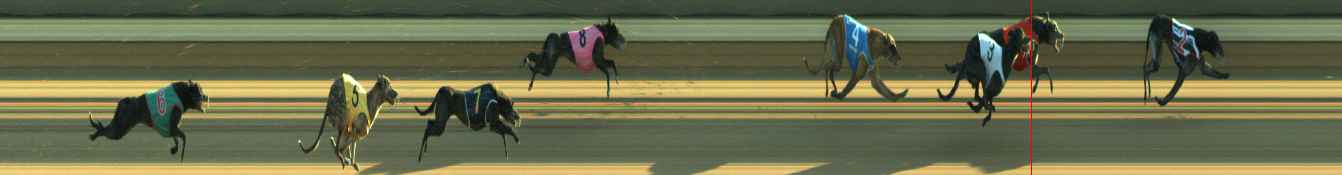 Photo finish for Warragul Race 12