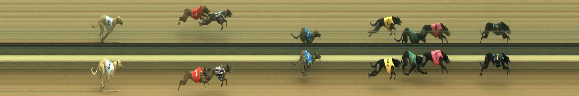 Photo finish for Warragul Race 3