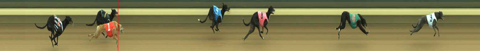 Photo finish for Warragul Race 5