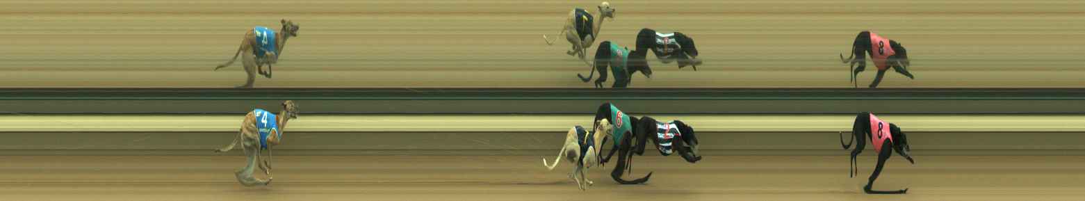Photo finish for Warragul Race 6