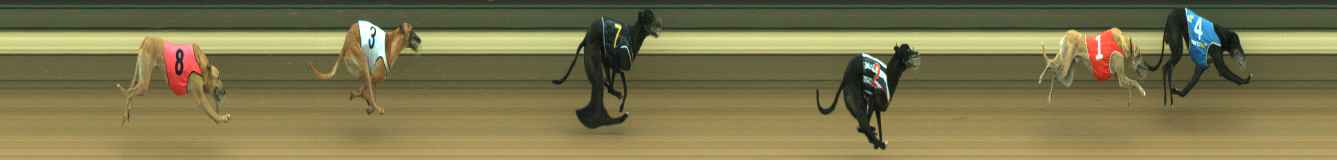 Photo finish for Warragul Race 7