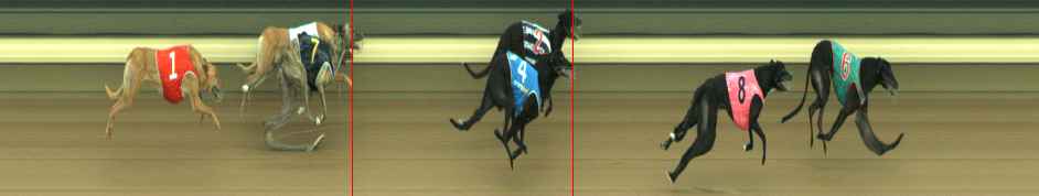 Photo finish for Warragul Race 8