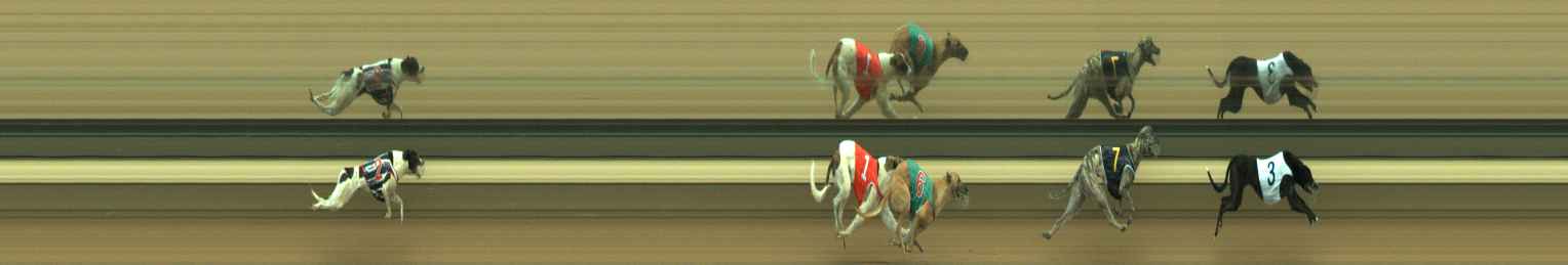 Photo finish for Warragul Race 10