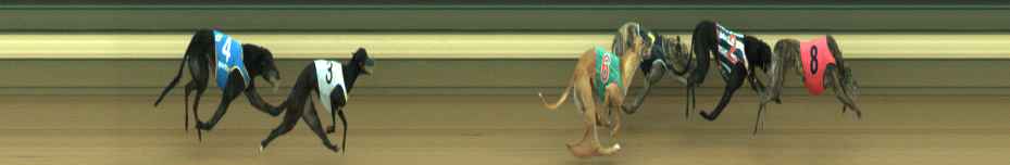 Photo finish for Warragul Race 11