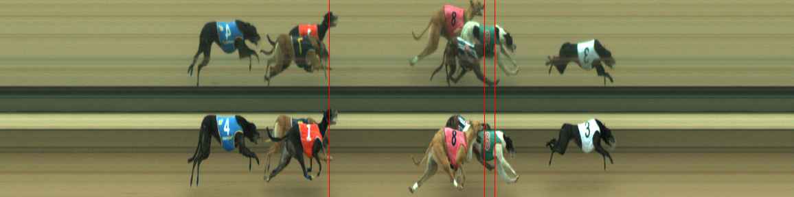 Photo finish for Warragul Race 12
