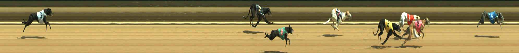 Photo finish for Warragul Race 1