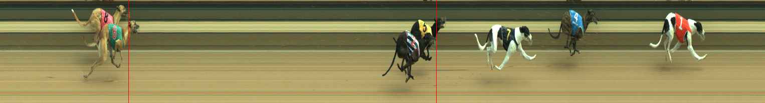 Photo finish for Warragul Race 3