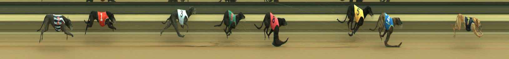 Photo finish for Warragul Race 4