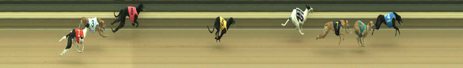 Photo finish for Warragul Race 5