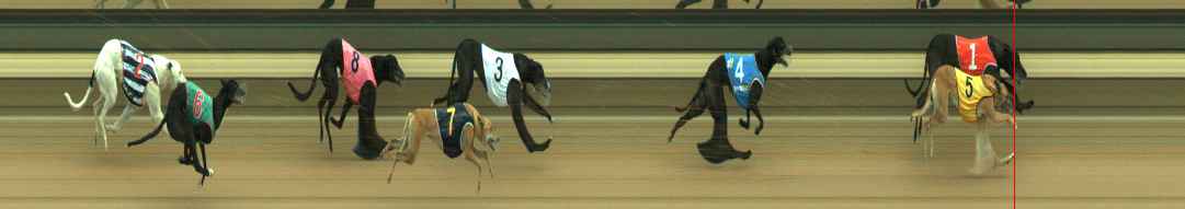 Photo finish for Warragul Race 6