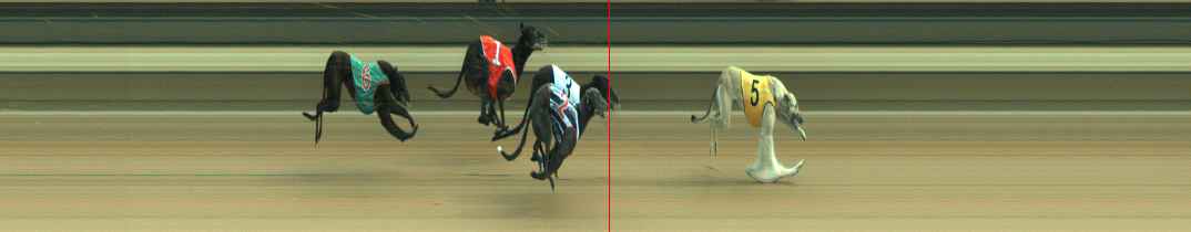 Photo finish for Warragul Race 7