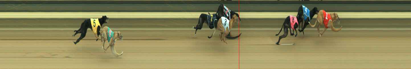 Photo finish for Warragul Race 9