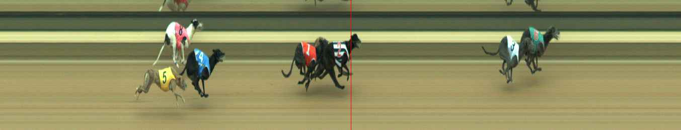Photo finish for Warragul Race 11