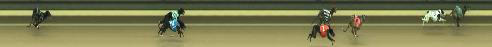 Photo finish for Warragul Race 12