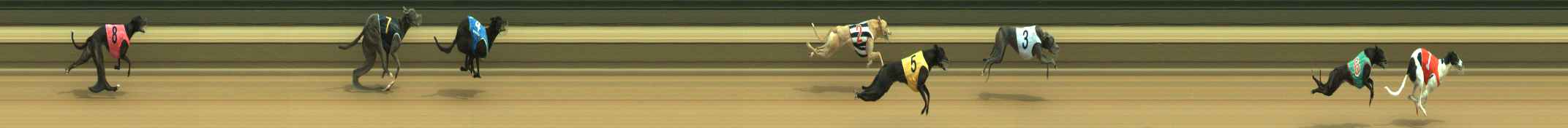 Photo finish for Warragul Race 1