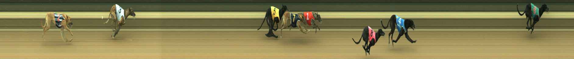 Photo finish for Warragul Race 2