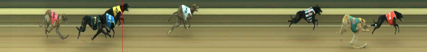 Photo finish for Warragul Race 3
