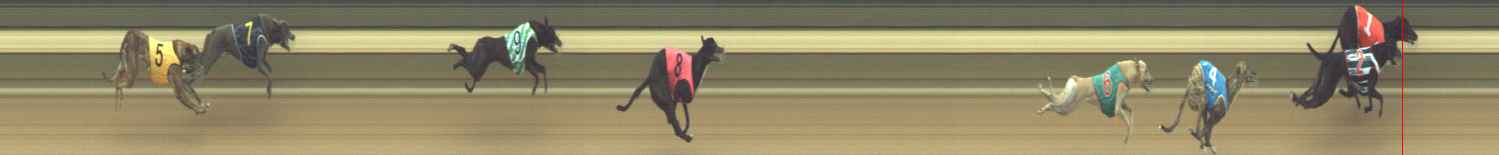 Photo finish for Warragul Race 4