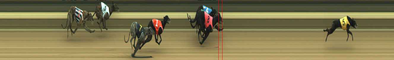 Photo finish for Warragul Race 5
