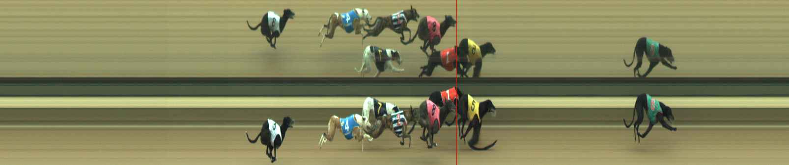 Photo finish for Warragul Race 7