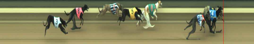 Photo finish for Warragul Race 8
