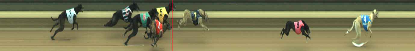 Photo finish for Warragul Race 9