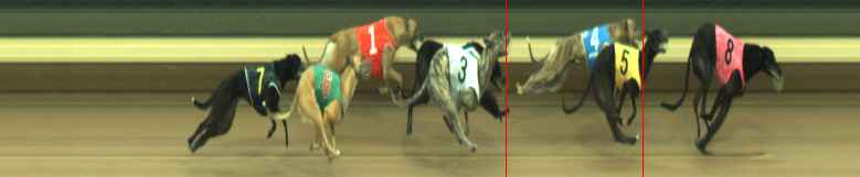 Photo finish for Warragul Race 11