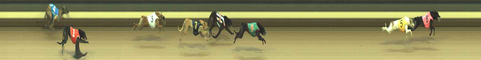 Photo finish for Warragul Race 12