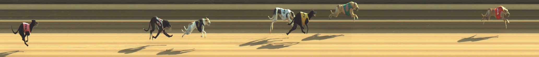 Photo finish for Warragul Race 1