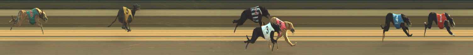Photo finish for Warragul Race 2
