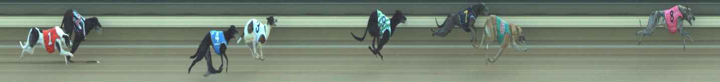Photo finish for Warragul Race 3