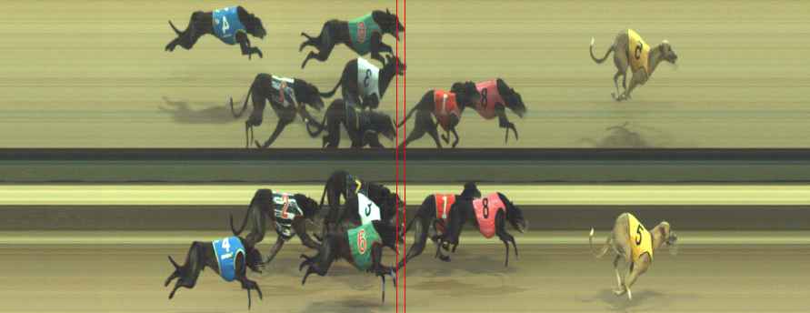 Photo finish for Warragul Race 4