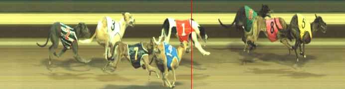 Photo finish for Warragul Race 5