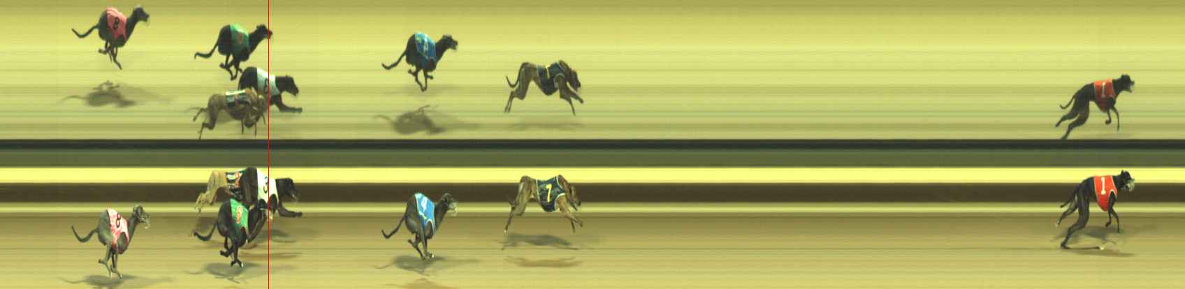 Photo finish for Warragul Race 6
