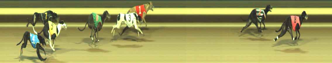 Photo finish for Warragul Race 7