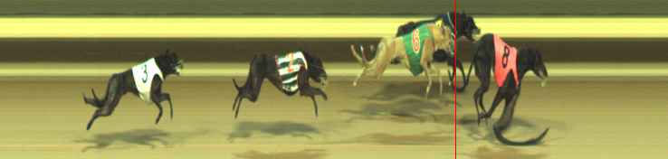 Photo finish for Warragul Race 8