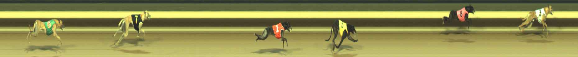 Photo finish for Warragul Race 9