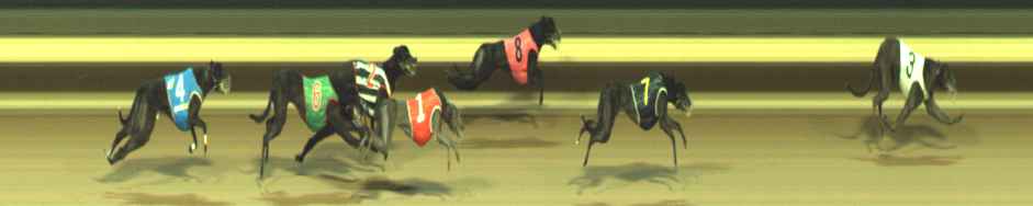 Photo finish for Warragul Race 10