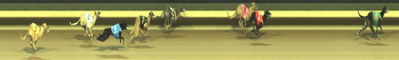 Photo finish for Warragul Race 11