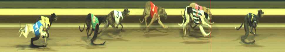 Photo finish for Warragul Race 12