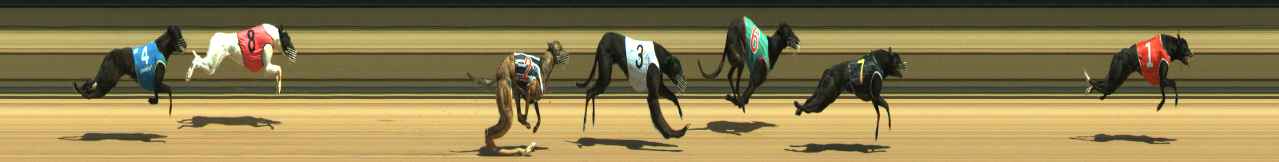 Photo finish for Warragul Race 1