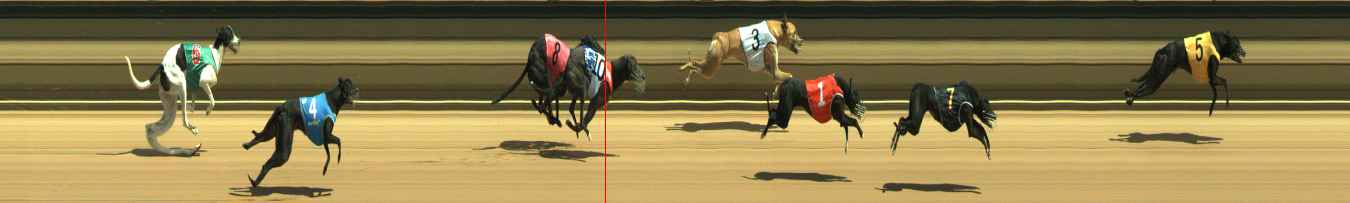 Photo finish for Warragul Race 3