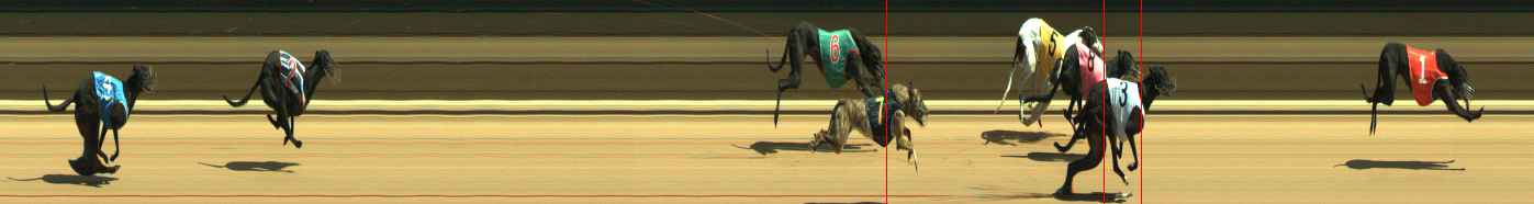 Photo finish for Warragul Race 4