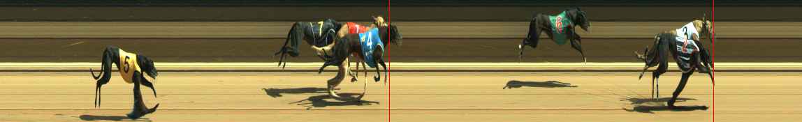Photo finish for Warragul Race 5